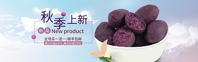 秋季上新紫薯海报