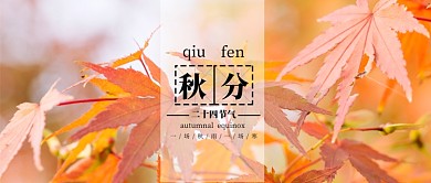 金黄色秋天二十四节气秋分红色枫叶落叶微信公众号素材图片