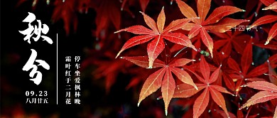 秋分节气公众号首图