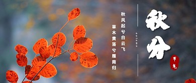 秋分公众号首图