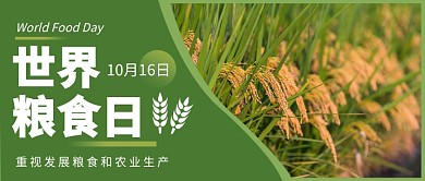 世界粮食日公众号首图