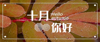 十月新媒体配图
