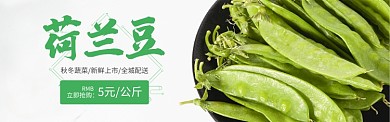 绿色水果蔬菜荷兰豆促销banner