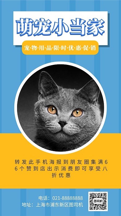 撞色宠物店手机海报模板