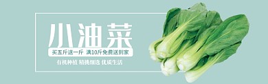 绿色水果蔬菜小油菜促销banner