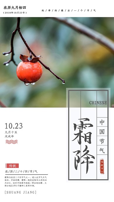 霜降传统节气摄影手机海报