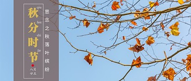 秋分时节枫叶公众号首图