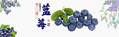 简约蓝莓水果促销banner