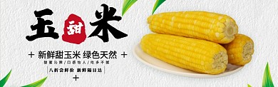白色水果蔬菜甜玉米促销banner