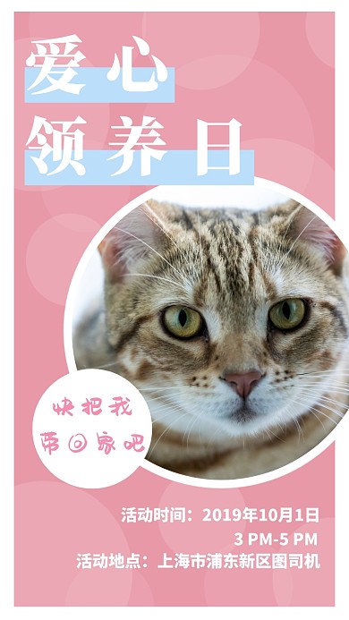 粉色公益活动手机海报模板