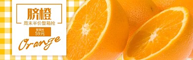 橙色色水果蔬菜橙子脐橙促销banner