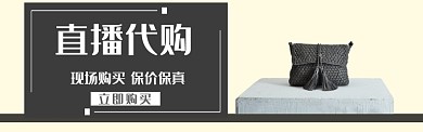 直播代购女包banner