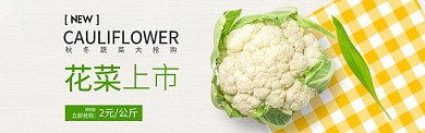 绿黄色水果蔬菜菜花促销banner