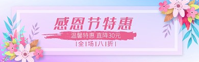 感恩节淘宝电商促销banner