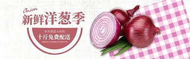 红色水果蔬菜洋葱促销banner