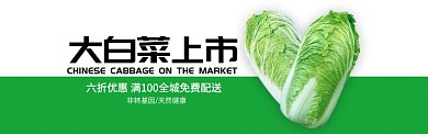 绿色水果蔬菜白采促销banner