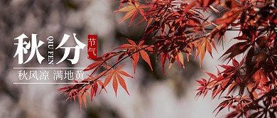 红色枫叶二十四节气秋分公众号首图
