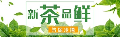 秋茶上新淘宝banner