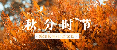 黄色金秋秋分时节公众号首图