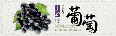 白色水果葡萄新鲜上市促销banner