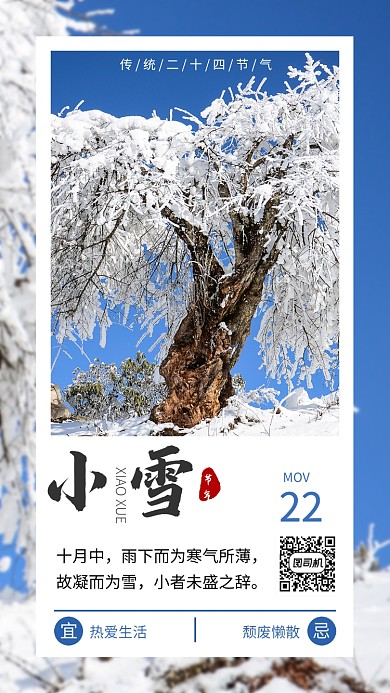 摄影图节气小雪手机海报