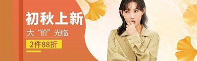 女装狂欢特惠海报banner