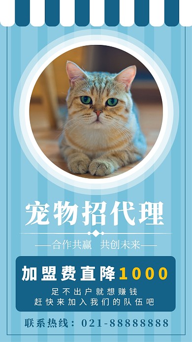 蓝色宠物招商手机海报模板