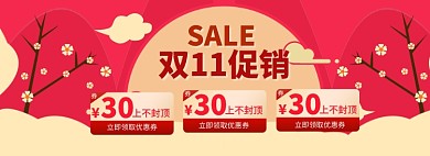 双11促销优惠券海报banner