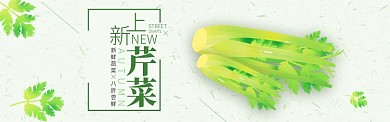 绿色秋冬蔬菜芹菜上市促销banner