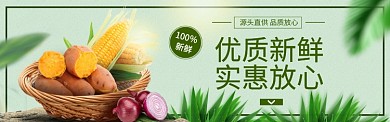 淘宝秋冬应季新鲜蔬菜banner