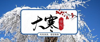 大寒公众号首图