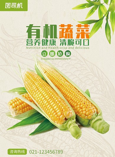 创意清新有机蔬菜海报