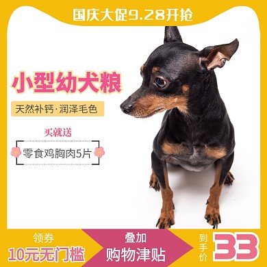 黄色粉色可爱狗粮领券促销直通车