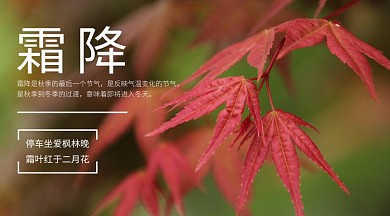 二十四个节气霜降横版手机海报