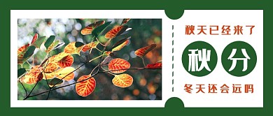 简约秋分节气公众号首图