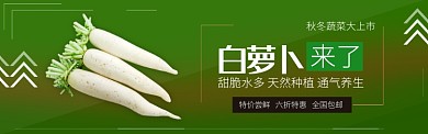 绿色新鲜蔬菜白罗卜上市banner