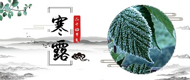 寒露节气公众号首图