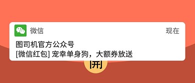宠幸单身狗公众号首图