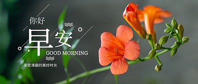 早安公众号首图
