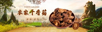 自然绿色香菇美食促销banner
