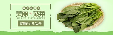 绿色秋冬蔬菜菠菜上市促销banner