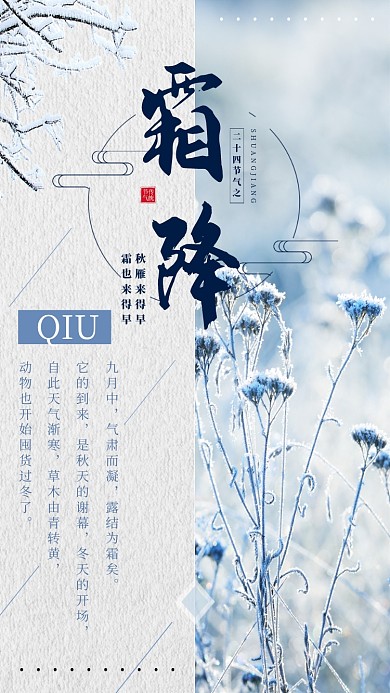 冬季简约大气霜降节气宣传手机海报