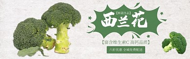 绿色水果蔬菜西兰花促销banner