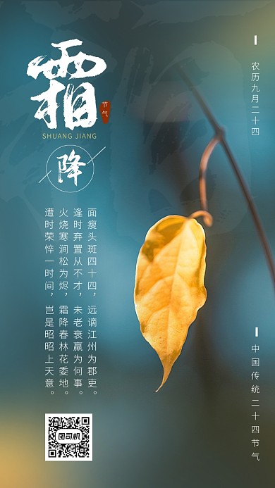 大气简约霜降节气手机海报