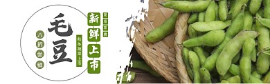 绿色秋冬蔬菜毛豆上市促销banner