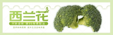 绿色水果蔬菜西兰花促销banner