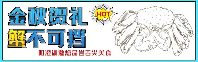 金秋蟹礼淘宝banner
