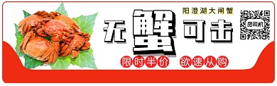 阳澄湖大闸蟹淘宝banner