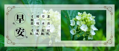 早安公众号首图