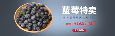 简约蓝莓水果促销banner